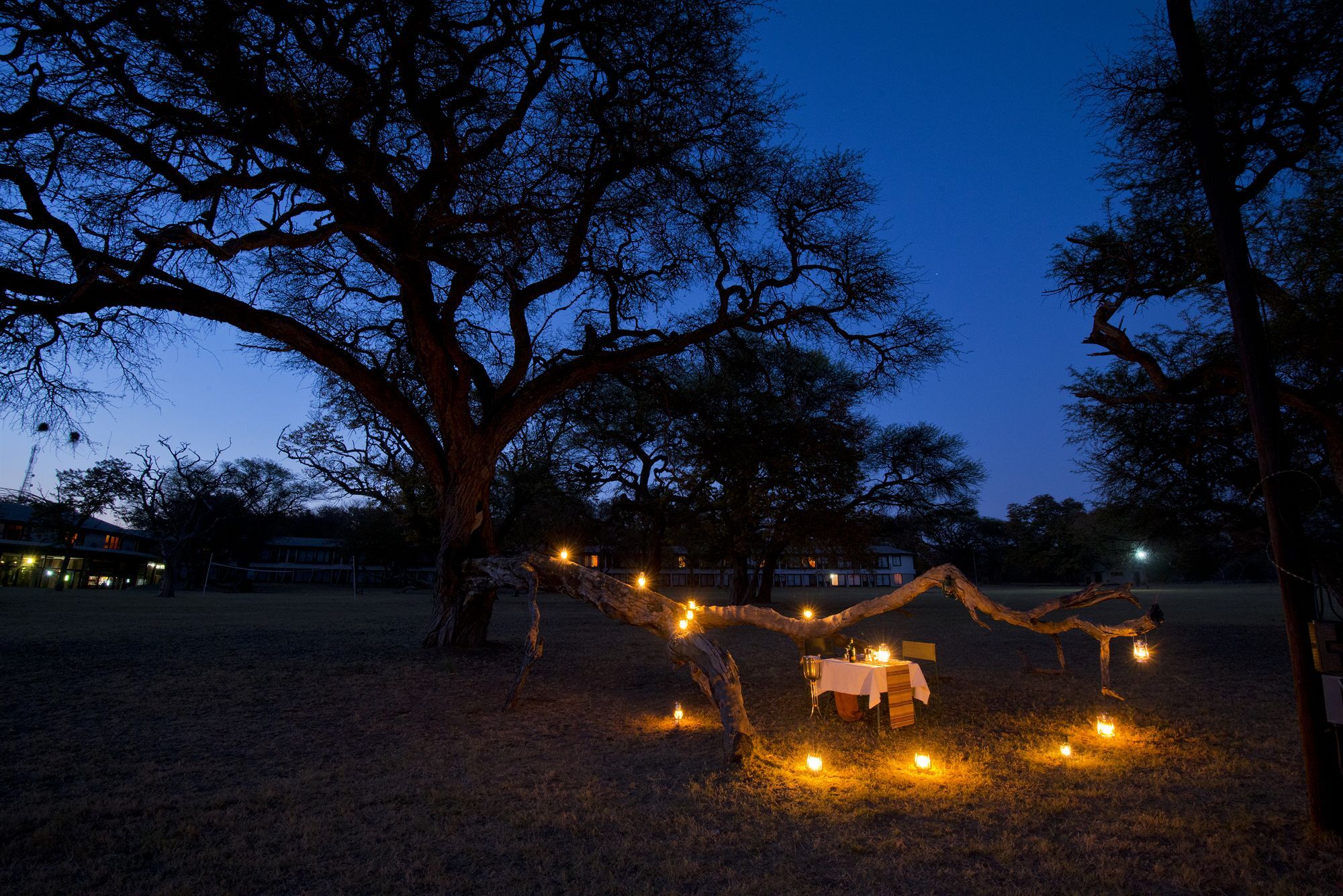 Hwange Safari Lodge Dete Dış mekan fotoğraf